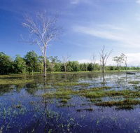 Tyto Wetlands - Accommodation Whitsundays