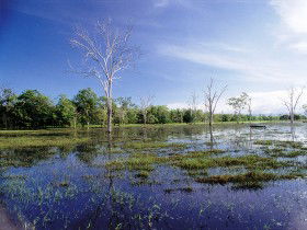 Tyto Wetlands - Accommodation Whitsundays 0