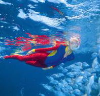 Outer Rocks Dive Site - Accommodation Whitsundays