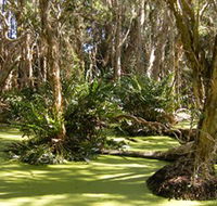 Arkarra Lagoons and Tea Gardens - Accommodation Whitsundays