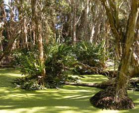 Arkarra Lagoons And Tea Gardens - Accommodation Whitsundays 0