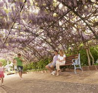 Laurel Bank Park - Accommodation Whitsundays