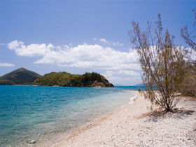 Shute Harbour QLD Accommodation Whitsundays