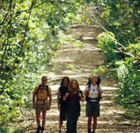 Wet Tropics Great Walk - Accommodation Whitsundays