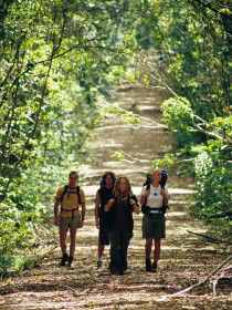 Wet Tropics Great Walk - Accommodation Whitsundays 0
