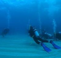 Egg Rock Dive Site - Accommodation Whitsundays