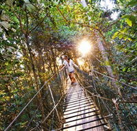 Tree Top Walkway - Accommodation Whitsundays