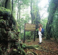 Tooloona Creek circuit - Accommodation Whitsundays