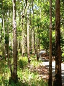 Hallorans Hill - Accommodation Whitsundays 0