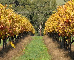 Wild Dog Winery & Restaurant - Accommodation Whitsundays 0