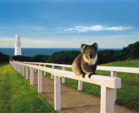 Cape Otway Lightstation - Accommodation Whitsundays 0