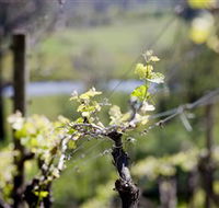 Downing Estate - Accommodation Whitsundays