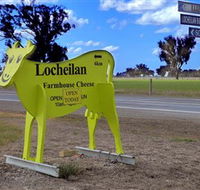 Locheilan Farmhouse Cheese - Accommodation Whitsundays