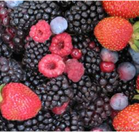 Gentle Annie Berry Gardens - Accommodation Whitsundays