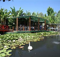 Blue Lotus Water Garden - Accommodation Whitsundays