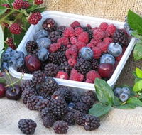 Bright Berry Farms - Accommodation Whitsundays
