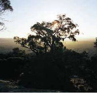 Yarra Flats - Accommodation Whitsundays
