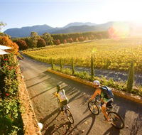 Boyntons Feathertop Winery - Accommodation Whitsundays