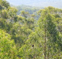 Bunyip State Park - Accommodation Whitsundays