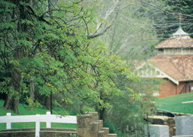 Hepburn Regional Park - Accommodation Whitsundays 0