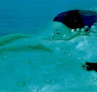 Muse - Accommodation Whitsundays