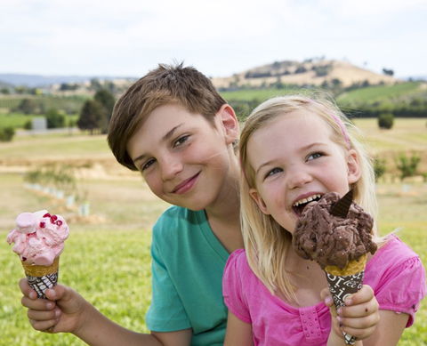 Yarra Valley Chocolaterie & Ice Creamery - Accommodation Whitsundays 6
