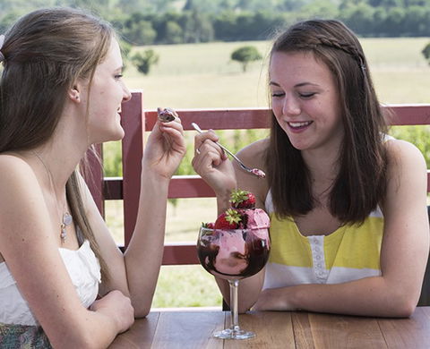 Yarra Valley Chocolaterie & Ice Creamery - Accommodation Whitsundays 8