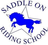 Saddle On Riding School - Accommodation Whitsundays