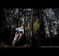 Ride Forrest - Accommodation Whitsundays