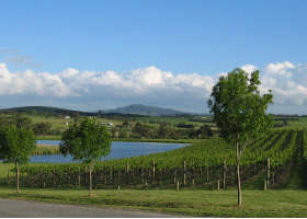 Yarrawood Estate - Accommodation Whitsundays 0