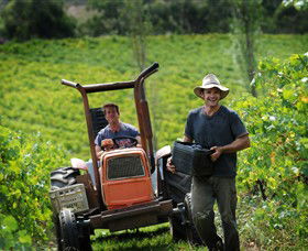 Kellybrook Winery & Kelly Brothers Cider - Accommodation Whitsundays 0