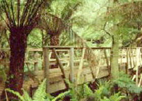 Mount Worth State Park - Accommodation Whitsundays 0