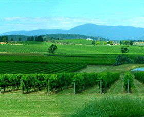 Acacia Ridge Vineyard - Accommodation Whitsundays 0