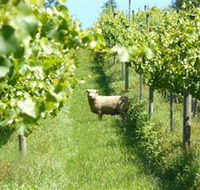 Passing Clouds - Accommodation Whitsundays