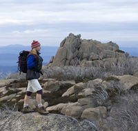 Mount Buffalo National Park - Accommodation Whitsundays