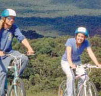 Lysterfield Park - Accommodation Whitsundays