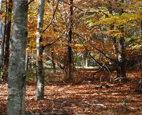 RJ Hamer Arboretum - Accommodation Whitsundays 0