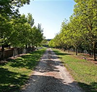 Waybourne Winery - Accommodation Whitsundays