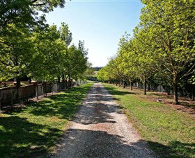 Waybourne Winery - Accommodation Whitsundays 0