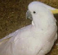 Plenty Gorge Park - Accommodation Whitsundays