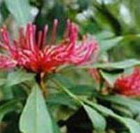 Alfred National Park - Accommodation Whitsundays