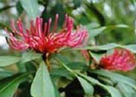 Alfred National Park - Accommodation Whitsundays 0