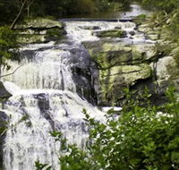 Agnes Falls Scenic Reserve - Accommodation Whitsundays