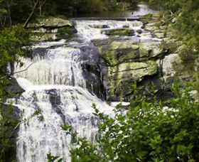 Agnes Falls Scenic Reserve - Accommodation Whitsundays 0
