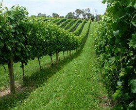 The Cups Estate - Accommodation Whitsundays 0