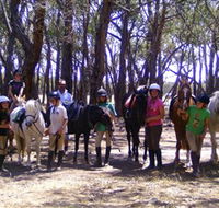 Bellarine Horse Riding Centre - Accommodation Whitsundays