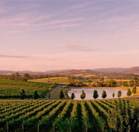 Oakridge Wines - Accommodation Whitsundays