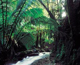 Lavers Hill VIC Accommodation Whitsundays