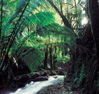 Melba Gully - Accommodation Whitsundays