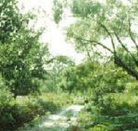 Holey Plains State Park - Accommodation Whitsundays